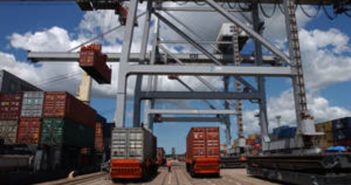 Making the international trade in plants and seeds a safer venture