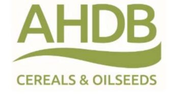 Soil health: What is it, and how can it be measured and improved?