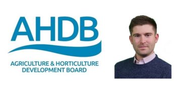 AHDB goes deeper into crop estimate differences