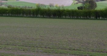 Changeable weather creating wide variations in soil nitrogen levels