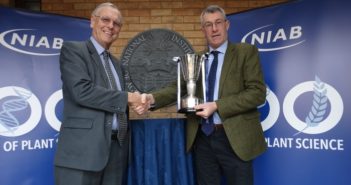 Red Baron onion wins NIAB Centenary Variety Cup