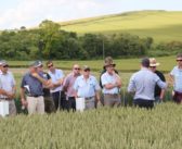 Register now for first 23/24 monitor farm cereal events