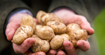 New report reveals LEAF Marque businesses are leading the way in climate positive farming