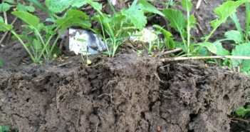 Agroecology conference builds sustainable farming