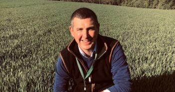 Silicon improves yield and soil health Silicon improves yield and soil health