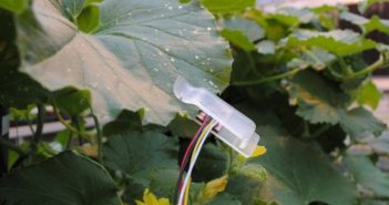 Leaf sensors can tell when crop needs to be irrigated
