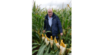 Basis adds ProCam agronomist to membership committee