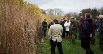 Miscanthus establishment and cultivation event registration open