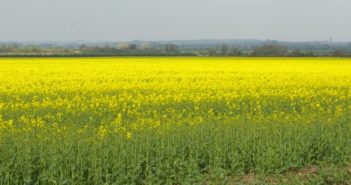 NFU submits neonicotinoid application