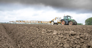 Sums add up for potato weed control