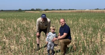 Miscanthus delivers ecological benefits