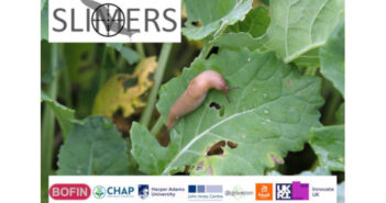 Slug Sleuths employed as part of BOFIN’s SLIMERS project