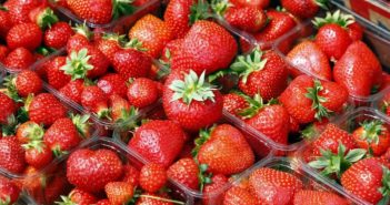 Getting liability insurance right could avoid catastrophic claims, fruit growers warned
