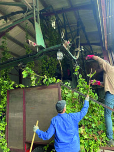 NAGA 2022 Fruit Grower