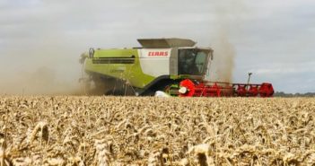 Southern Hemisphere conditions affecting harvest