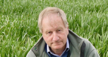 Leading wheat breeder welcomes NIAB award for Crusoe