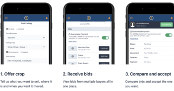 Milestone year for online trading platform Graindex
